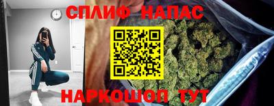 дурь Сланцы