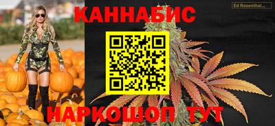 дурь Сланцы