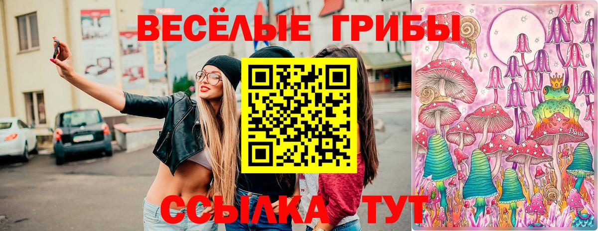 Галлюциногенные грибы мицелий  где купить наркоту  Октябрьский  Вход с VPN 