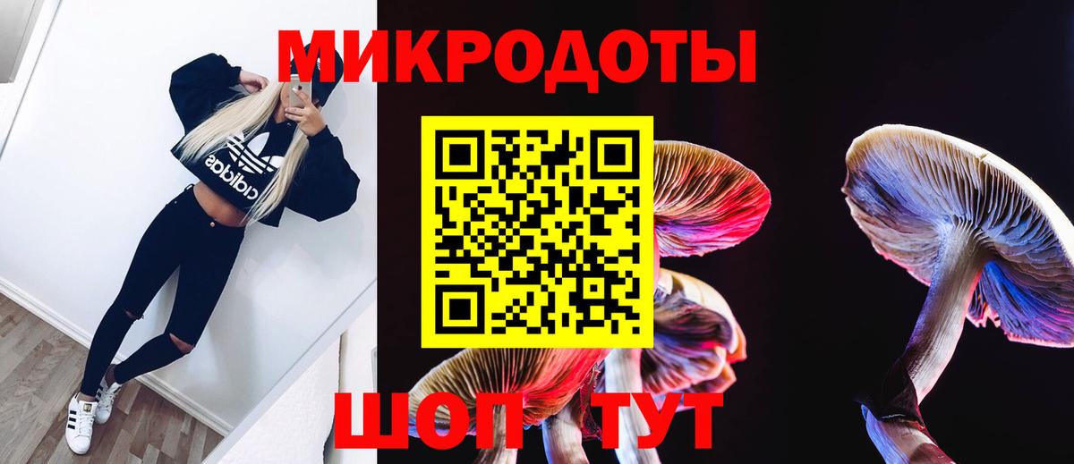 Галлюциногенные грибы прущие грибы Октябрьский
